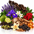A colorful still life arrangement of natural ingredients and spices on a white background, including purple lavender, a purple iris flower, red hibiscus blossoms, white jasmine flowers, a kumquat fruit, a lime half, vanilla beans, cinnamon sticks, cardamom pods, black peppercorns, and amber-colored resin crystals.
