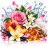 A stylized botanical fragrance composition on a white background featuring a pink rose, peach slices, white flowers, vanilla beans, amber crystals, cinnamon sticks, pink petals, and blue water splashes.