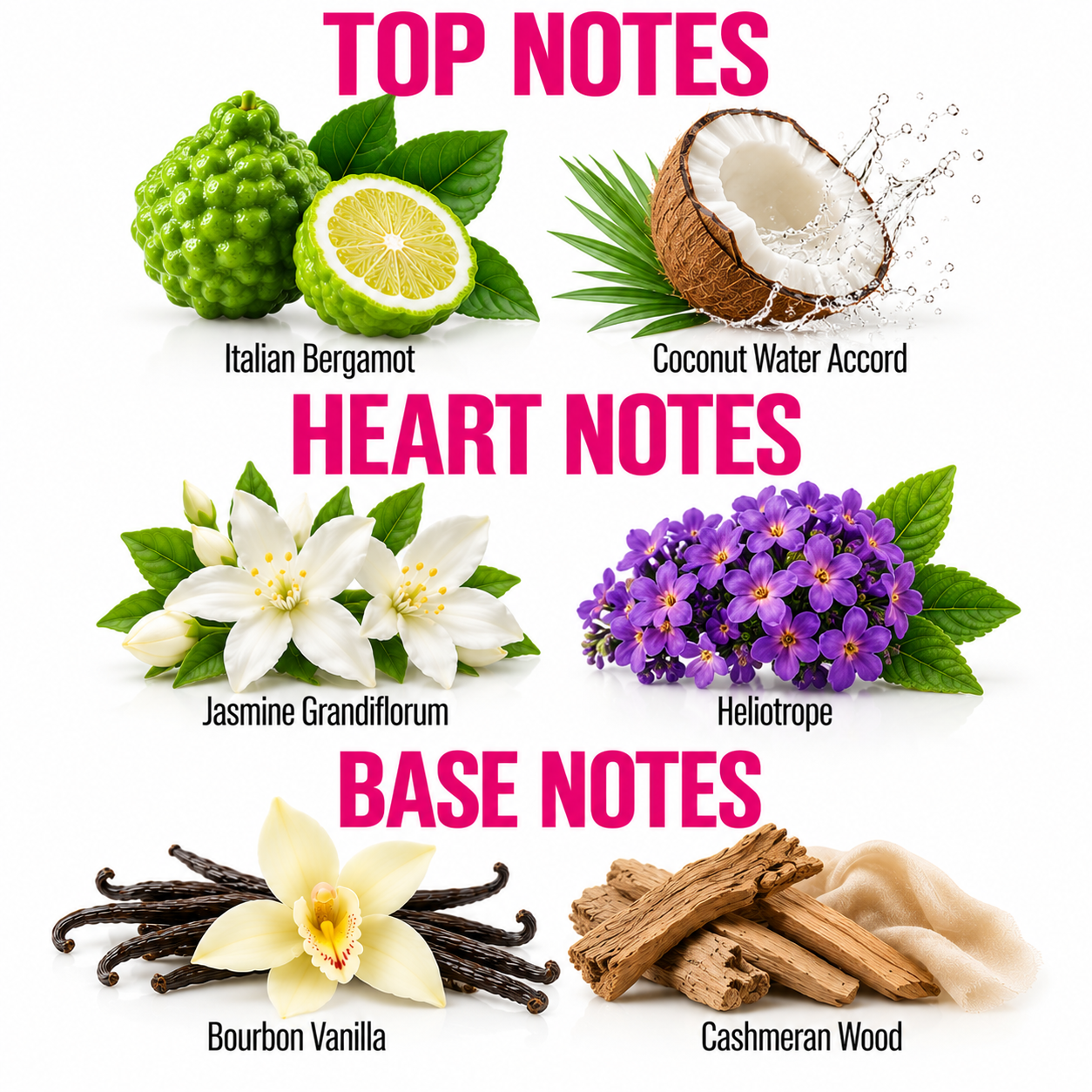 A fragrance notes graphic with the headings TOP NOTES, HEART NOTES, and BASE NOTES. The top notes section shows Italian Bergamot and Coconut Water Accord.