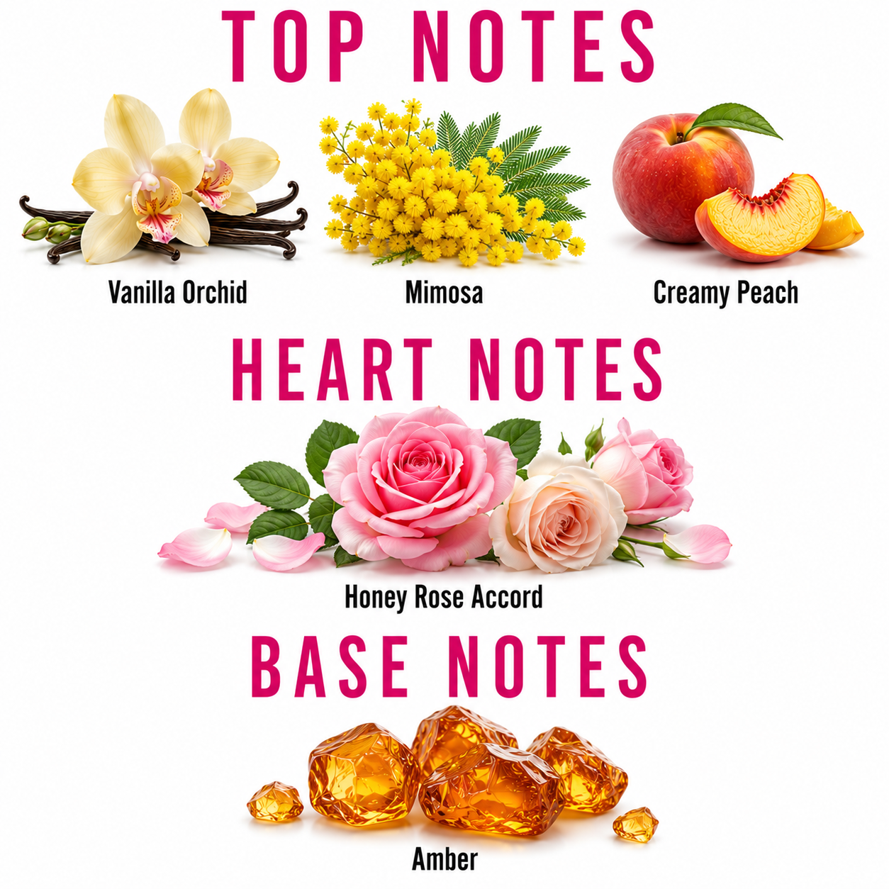 A fragrance notes graphic on a white background with pink headings reading TOP NOTES, HEART NOTES, and BASE NOTES. Top notes show vanilla orchid flowers, yellow mimosa, and a peach with the labels Vanilla Orchid, Mimosa, and Creamy Peach.
