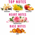 A fragrance notes graphic on a white background with pink headings reading TOP NOTES, HEART NOTES, and BASE NOTES. Top notes show vanilla orchid flowers, yellow mimosa, and a peach with the labels Vanilla Orchid, Mimosa, and Creamy Peach.