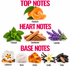 A fragrance notes graphic on a white background with three labeled sections: TOP NOTES at the top showing mandarin orange slices and leaves, HEART NOTES in the middle showing mint leaves, cinnamon sticks, sandalwood, and lavender sprigs, and BASE NOTES at the bottom showing labdanum, musk, amber, vanilla pods, and tonka beans.