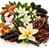 A styled arrangement of vanilla and chocolate ingredients on a white background, including vanilla beans, vanilla flowers, almonds, cacao pods, cocoa powder, amber-like wax, and dark chocolate pieces.