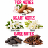 A fragrance notes graphic on a white background with pink text reading TOP NOTES, HEART NOTES, and BASE NOTES. Top notes show almonds and a pink flower labeled Almond.