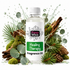 A clear bottle of Fizzy Whiz Healing Therapy Fragrance Oil with a white cap and white label, surrounded by natural ingredients like pine needles, eucalyptus leaves, moss, bark, and a pinecone on a white background with water splashes.
