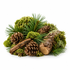 A decorative arrangement of pine branches, pinecones, moss, and a small cut log on a clean white background.