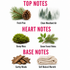 A fragrance notes graphic on a white background with pink headers reading TOP NOTES, HEART NOTES, and BASE NOTES. Top notes shown are Fresh Pine with a pine branch and cone, and Clean Woodland Air with a misty forest illustration.