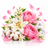 A floral arrangement featuring two large pink peonies, a white lily, white cotton bolls, small white blossoms, green leaves, and scattered pink petals on a clean white background.