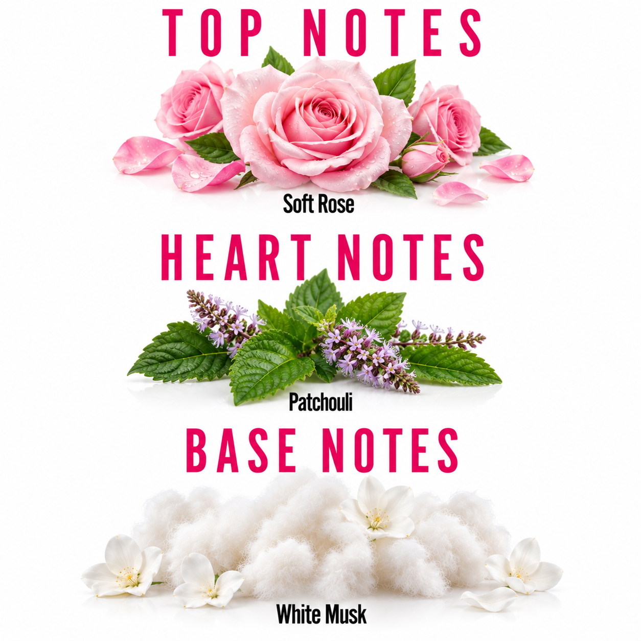 A fragrance notes graphic on a white background with pink and green botanical imagery and text reading TOP NOTES, Soft Rose, HEART NOTES, Patchouli, and BASE NOTES, with White Musk at the bottom.