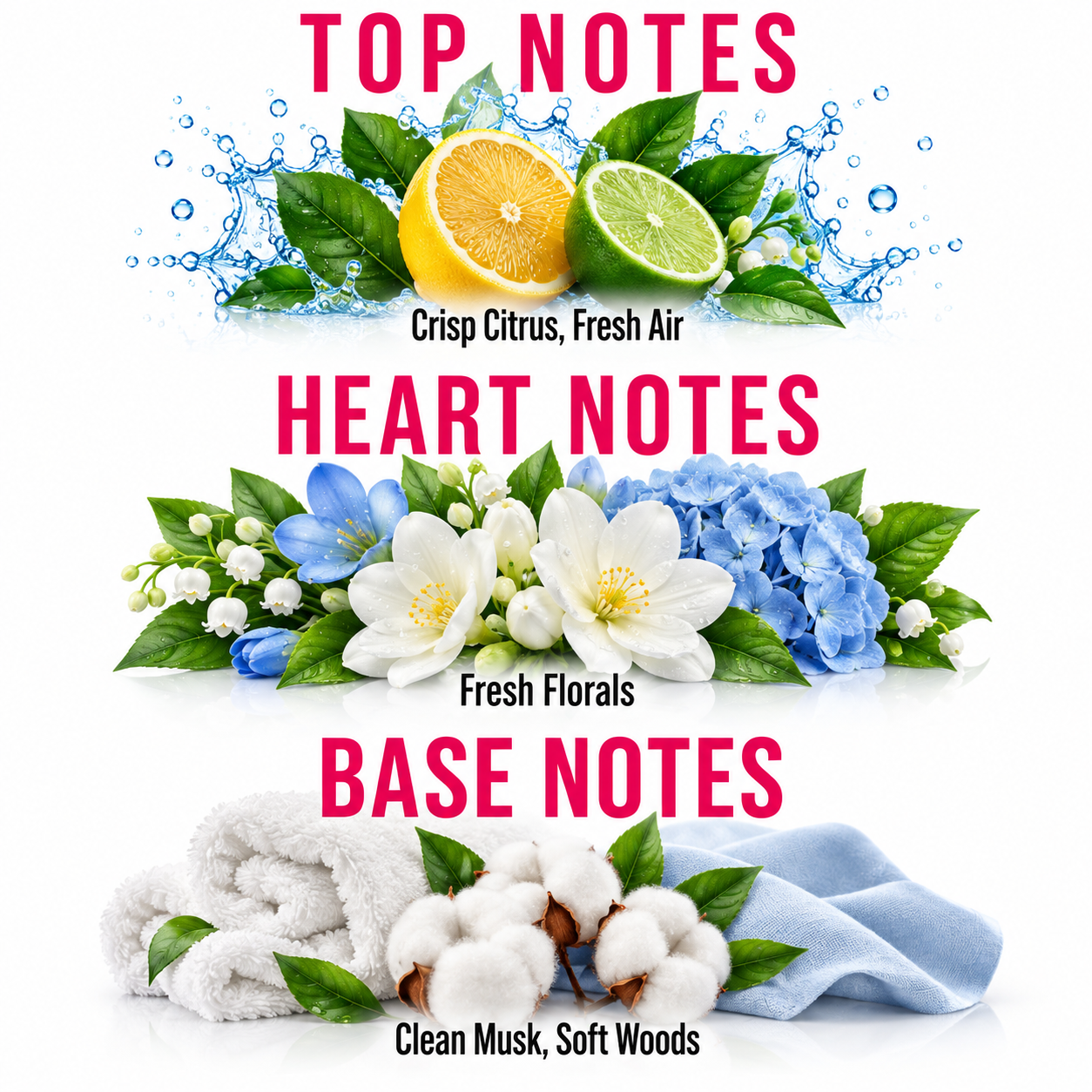 A fragrance notes graphic on a white background with three horizontal sections labeled TOP NOTES, HEART NOTES, and BASE NOTES in pink text. Top notes show citrus slices and green leaves with the text 'Crisp Citrus, Fresh Air.