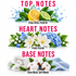 A fragrance notes graphic on a white background with three horizontal sections labeled TOP NOTES, HEART NOTES, and BASE NOTES in pink text. Top notes show citrus slices and green leaves with the text 'Crisp Citrus, Fresh Air.