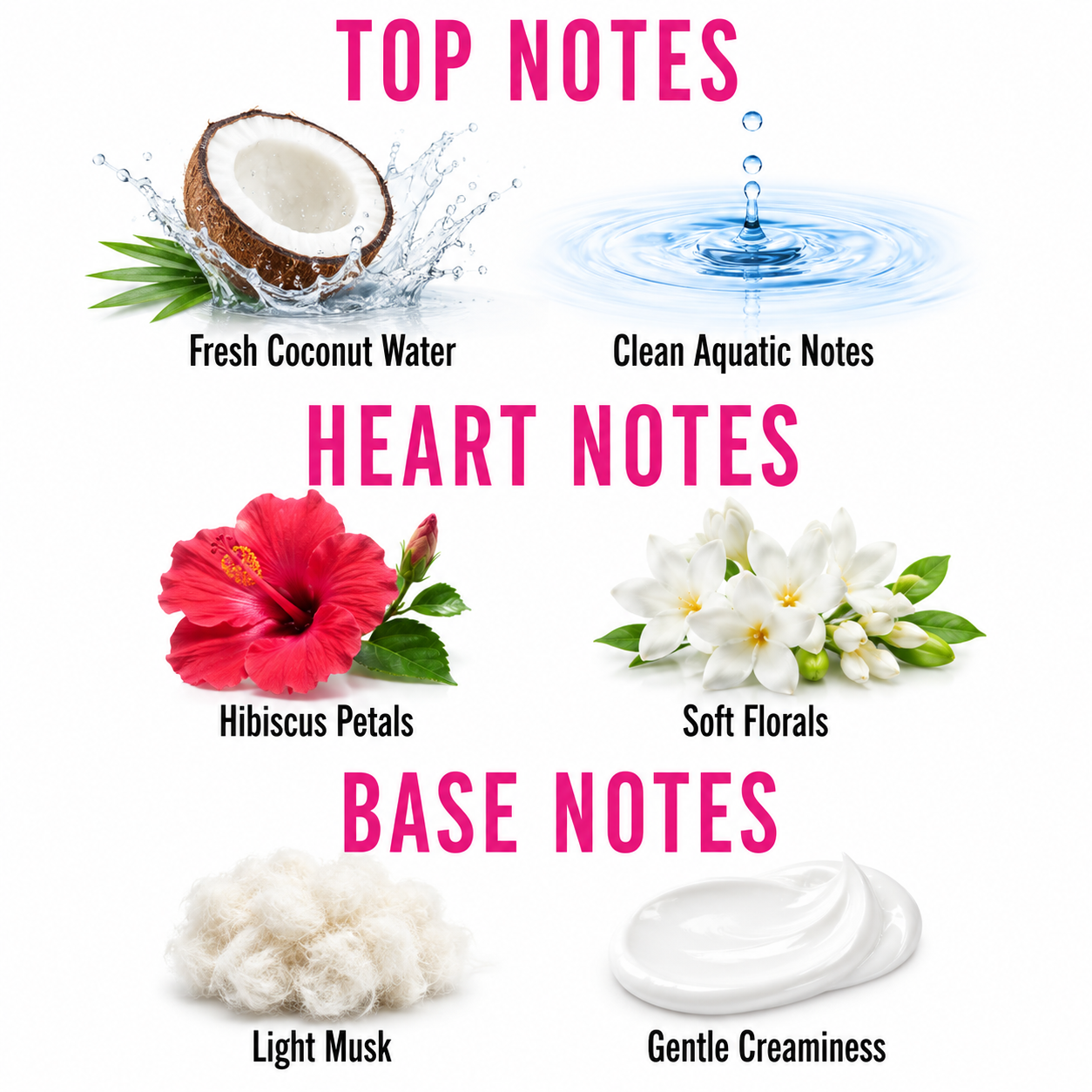 A fragrance notes graphic on a white background with pink and black text reading TOP NOTES, HEART NOTES, and BASE NOTES. Fresh coconut water, clean aquatic notes, hibiscus petals, soft florals, light musk, and gentle creaminess are illustrated with corresponding icons and labels.