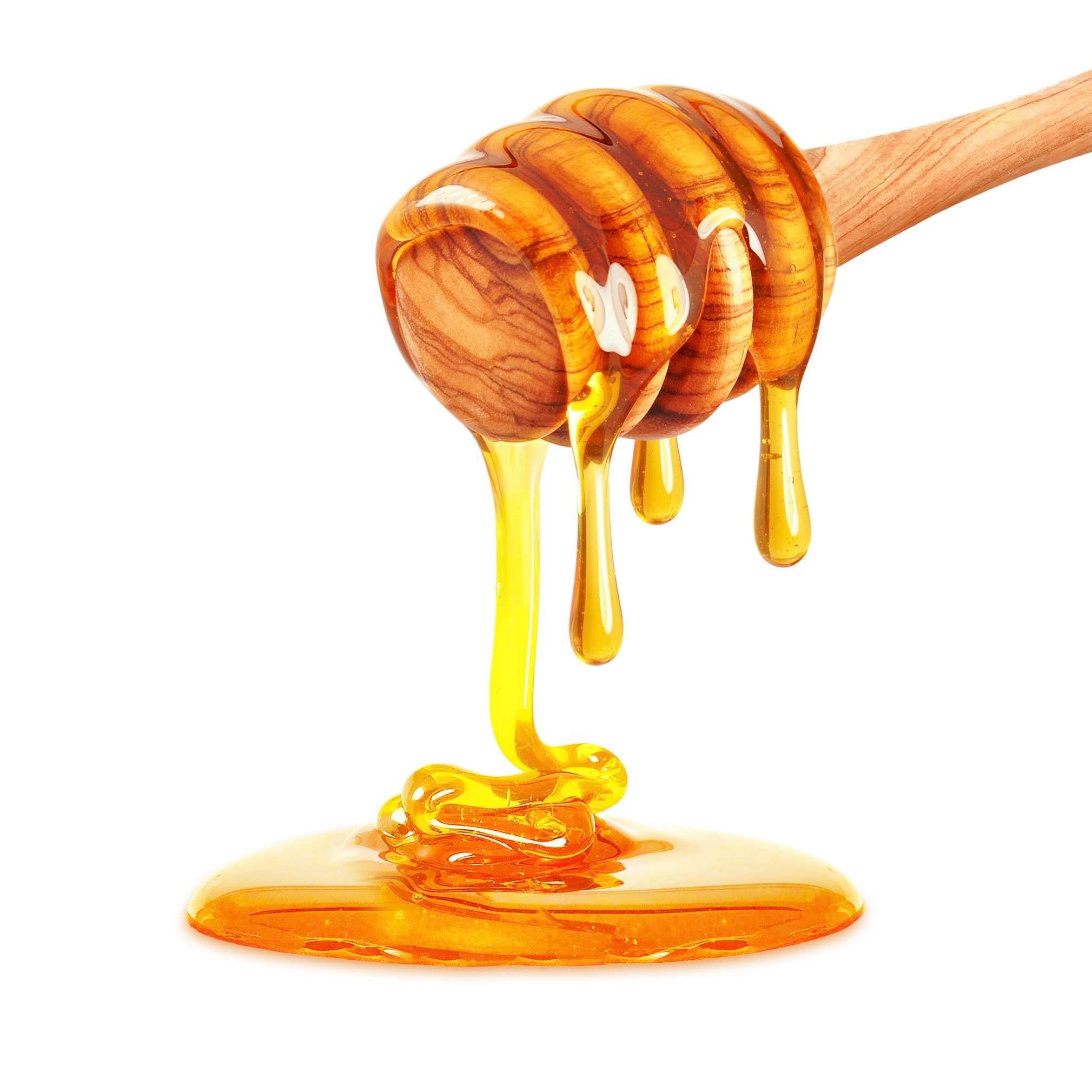 Honey Flavour Oil - FizzyWhiz