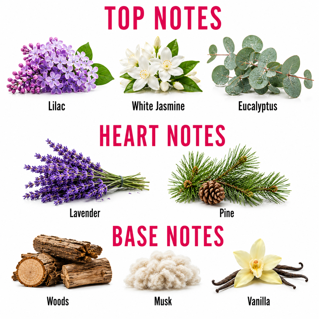 Serene Therapy Fragrance Oil