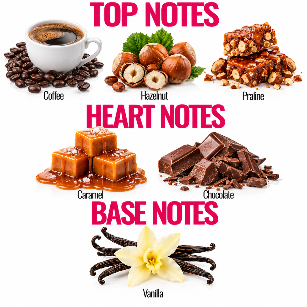 Cafe Praline Fragrance Oil