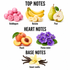 A fragrance notes graphic on a white background with the headings TOP NOTES, HEART NOTES, and BASE NOTES. Top notes shown are bubblegum pink spheres, yellow bananas, and green pears.