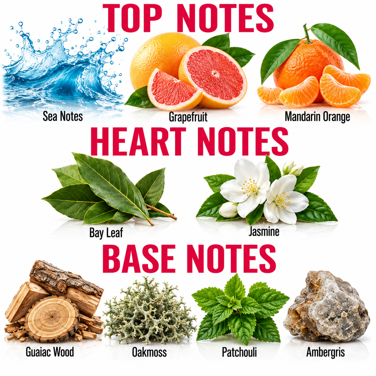 A product graphic for a fragrance scent profile, titled 'TOP NOTES', 'HEART NOTES', and 'BASE NOTES'. It features illustrations and photos of ingredients: a blue water splash for 'Sea Notes', grapefruit, mandarin orange, bay leaf, jasmine, guaiac wood, oak moss, patchouli, and ambergris, with red text labels.