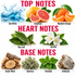 A product graphic for a fragrance scent profile, titled 'TOP NOTES', 'HEART NOTES', and 'BASE NOTES'. It features illustrations and photos of ingredients: a blue water splash for 'Sea Notes', grapefruit, mandarin orange, bay leaf, jasmine, guaiac wood, oak moss, patchouli, and ambergris, with red text labels.
