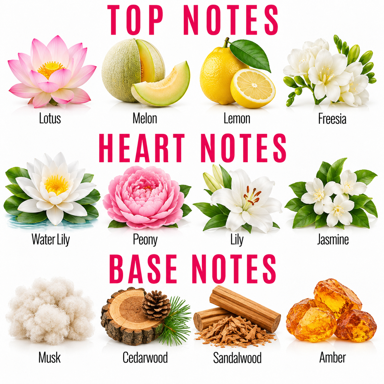 A fragrance notes chart with three labeled sections: TOP NOTES, HEART NOTES, and BASE NOTES. The top row shows floral notes including Lotus, Melon, Lemon, and Freesia with corresponding illustrations.