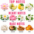 A fragrance notes chart with three labeled sections: TOP NOTES, HEART NOTES, and BASE NOTES. The top row shows floral notes including Lotus, Melon, Lemon, and Freesia with corresponding illustrations.
