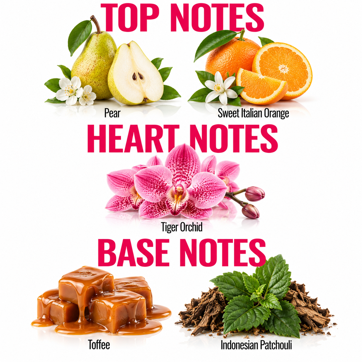 A fragrance notes graphic on a white background with large pink text reading TOP NOTES, HEART NOTES, and BASE NOTES. Top notes are illustrated with a pear, white flowers, and sweet Italian orange slices; heart notes are illustrated with pink tiger orchid flowers; base notes are illustrated with caramel toffee cubes and Indonesian patchouli leaves.