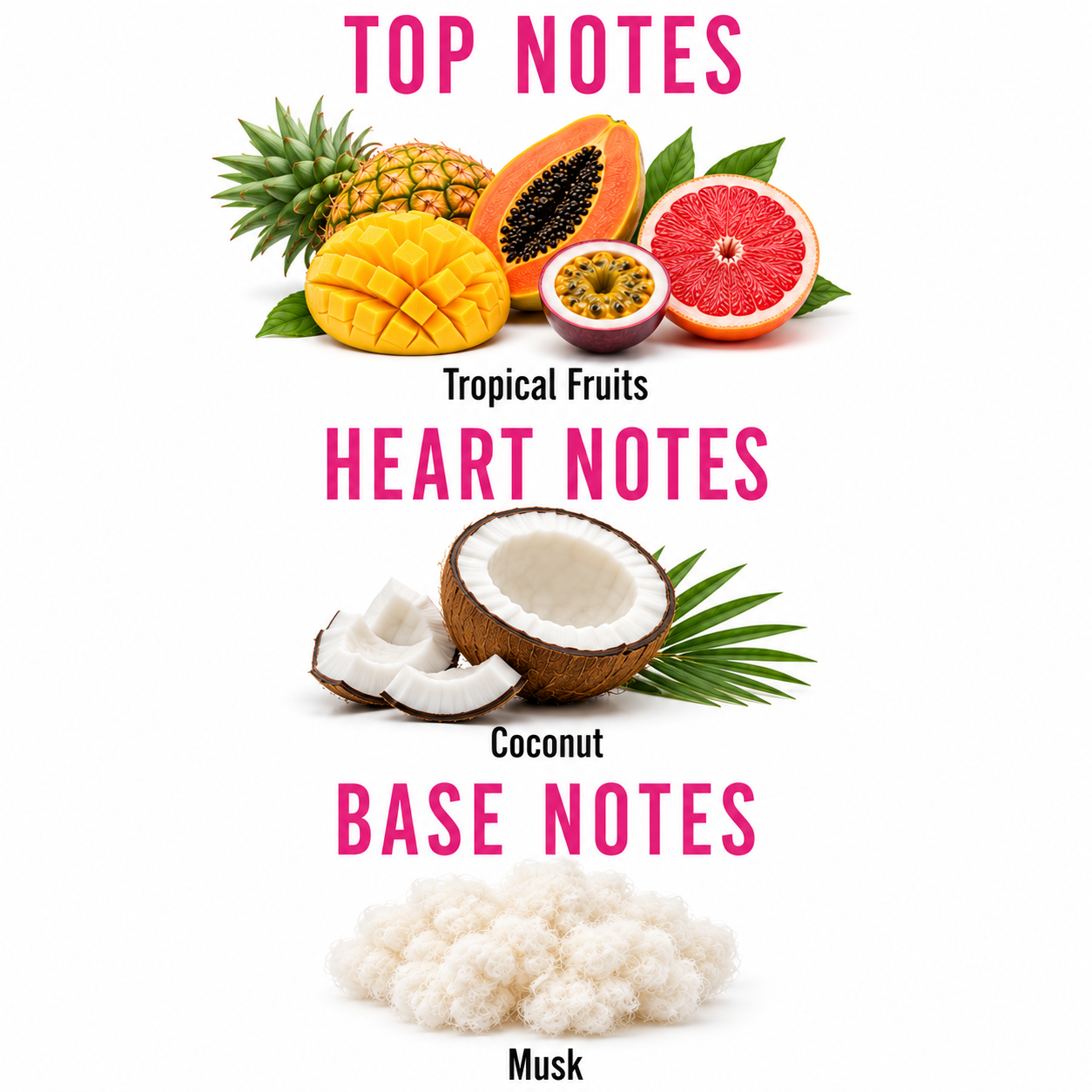 A graphic layout with the text 'TOP NOTES', 'HEART NOTES', and 'BASE NOTES' on a white background. The top section shows tropical fruits including pineapple, papaya, grapefruit, mango, and passion fruit under the heading 'Tropical Fruits'.