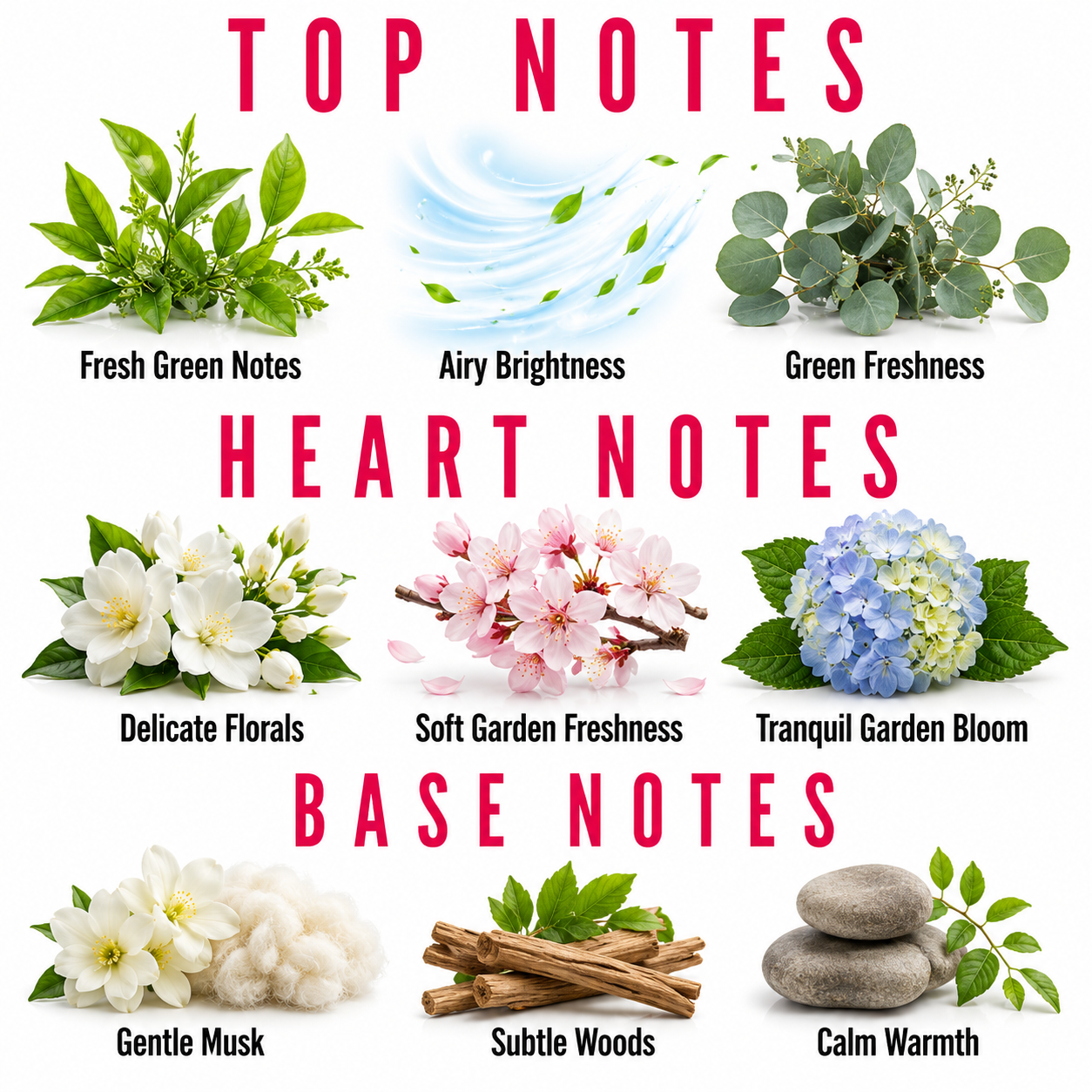 A fragrance notes graphic with the headings TOP NOTES, HEART NOTES, and BASE NOTES. The top notes section shows green leafy branches, airy blue wind-like lines, and green eucalyptus leaves labeled Fresh Green Notes, Airy Brightness, and Green Freshness.