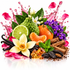 A vibrant botanical still life of natural ingredients, featuring a green kumquat, sliced lime, orange segments, purple flowers, vanilla beans, cinnamon sticks, mint leaves, and amber crystals, arranged with pink liquid splashes and petals on a white background.