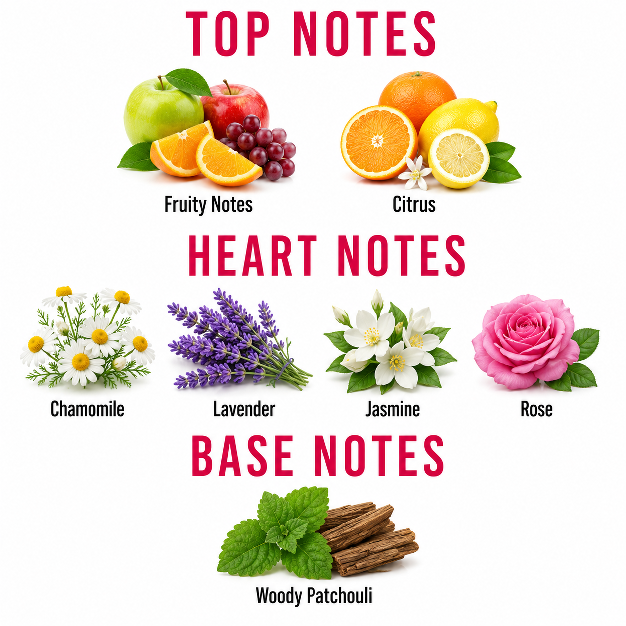 An infographic titled 'TOP NOTES', 'HEART NOTES', and 'BASE NOTES' showing illustrated botanical and food elements: green apple, red grapes, orange slices, lemon, chamomile flowers, lavender buds, jasmine flowers, pink rose, and cinnamon sticks on a white background.