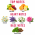 An infographic titled 'TOP NOTES', 'HEART NOTES', and 'BASE NOTES' showing illustrated botanical and food elements: green apple, red grapes, orange slices, lemon, chamomile flowers, lavender buds, jasmine flowers, pink rose, and cinnamon sticks on a white background.