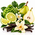 A styled botanical arrangement of citrus and spice ingredients on a white background, including a green pomelo, sliced lime wedges, a halved pear, vanilla beans, white orchid flowers, and green leaves.