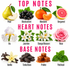 A fragrance notes graphic with pink text reading TOP NOTES, HEART NOTES, and BASE NOTES above illustrated scent ingredients: pear, blackcurrant, mandarin, bergamot, iris, jasmine, orange blossom, rose, vanilla, tonka bean, praline, and patchouli on a white background.