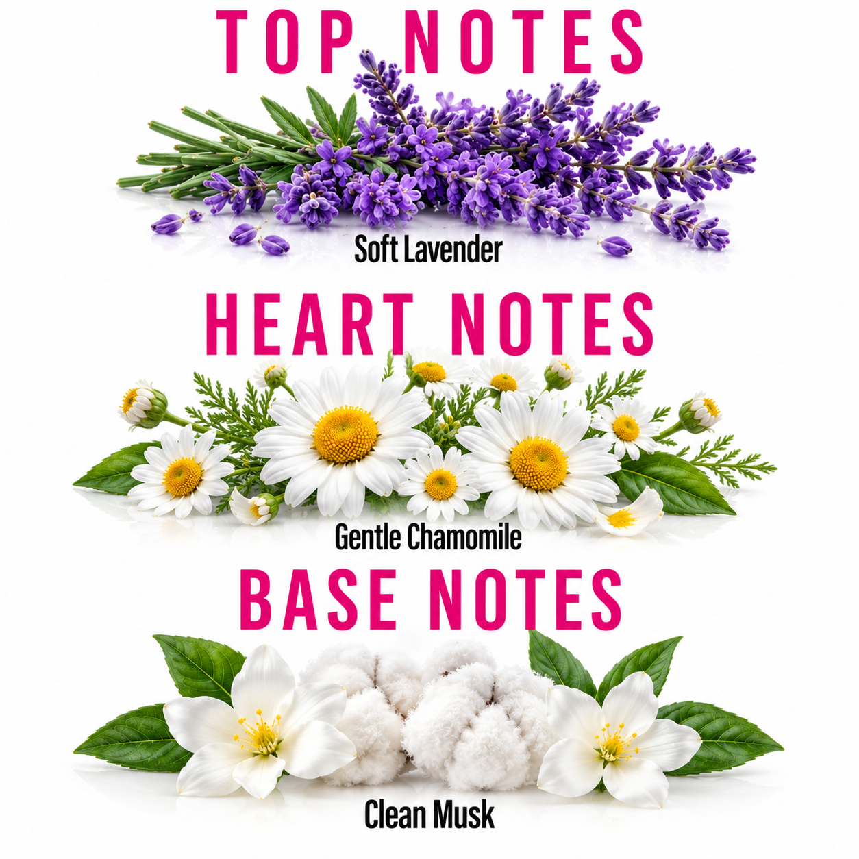 A fragrance notes graphic on a white background with pink text reading 'TOP NOTES', 'HEART NOTES', and 'BASE NOTES'. Top note shows purple lavender sprigs labeled 'Soft Lavender'.