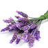 lavender flowers in a bunch