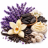 A styled botanical arrangement on a white background featuring purple lavender sprigs, dark vanilla beans, cream-colored vanilla blossoms, a pale yellow orchid flower, vanilla pods, fluffy beige cotton, and a swirl of pale cream cosmetic cream in a stone dish.