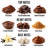 A product-focused graphic showing chocolate and cocoa flavor notes arranged in a grid on a white background, with headings 'TOP NOTES', 'HEART NOTES', and 'BASE NOTES' and labels including Rich Cocoa, Dark Chocolate Tones, Smooth Chocolate, Creamy Chocolate, Sweet Cocoa, Vanilla Warmth, Soft Musk, and Comforting Depth.