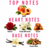 A fragrance scent profile graphic with the headings TOP NOTES, HEART NOTES, and BASE NOTES on a white background. Peach is shown at the top with red rose, creamy white florals, caramel cubes, vanilla beans, and precious woods labeled below.