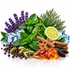 A styled arrangement of natural ingredients and herbs on a white reflective surface, including purple lavender flowers, green mint leaves, a lime half, cinnamon sticks, cardamom pods, black peppercorns, dried dates, and blue ice cubes. No packaging or human elements are present.