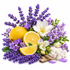 A styled botanical arrangement on a white background featuring purple lavender flowers, yellow lemons, white blossoms, green leaves, cotton bolls, and small pieces of wood.