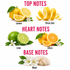 A fragrance notes graphic on a white background with pink headers reading TOP NOTES, HEART NOTES, and BASE NOTES. Top notes show lemon and citrus zest with green leaves and white flowers.