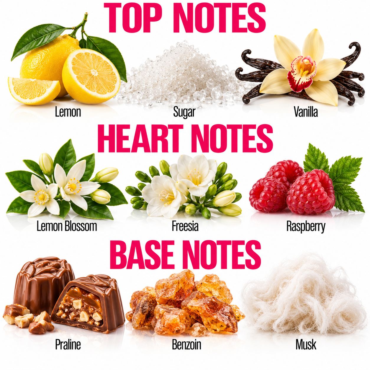 A fragrance notes infographic titled 'TOP NOTES', 'HEART NOTES', and 'BASE NOTES' showing illustrated and photographic representations of lemon, sugar, vanilla, lemon blossom, freesia, raspberry, praline, benzoin, and musk with labels.