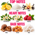 A fragrance notes infographic titled 'TOP NOTES', 'HEART NOTES', and 'BASE NOTES' showing illustrated and photographic representations of lemon, sugar, vanilla, lemon blossom, freesia, raspberry, praline, benzoin, and musk with labels.