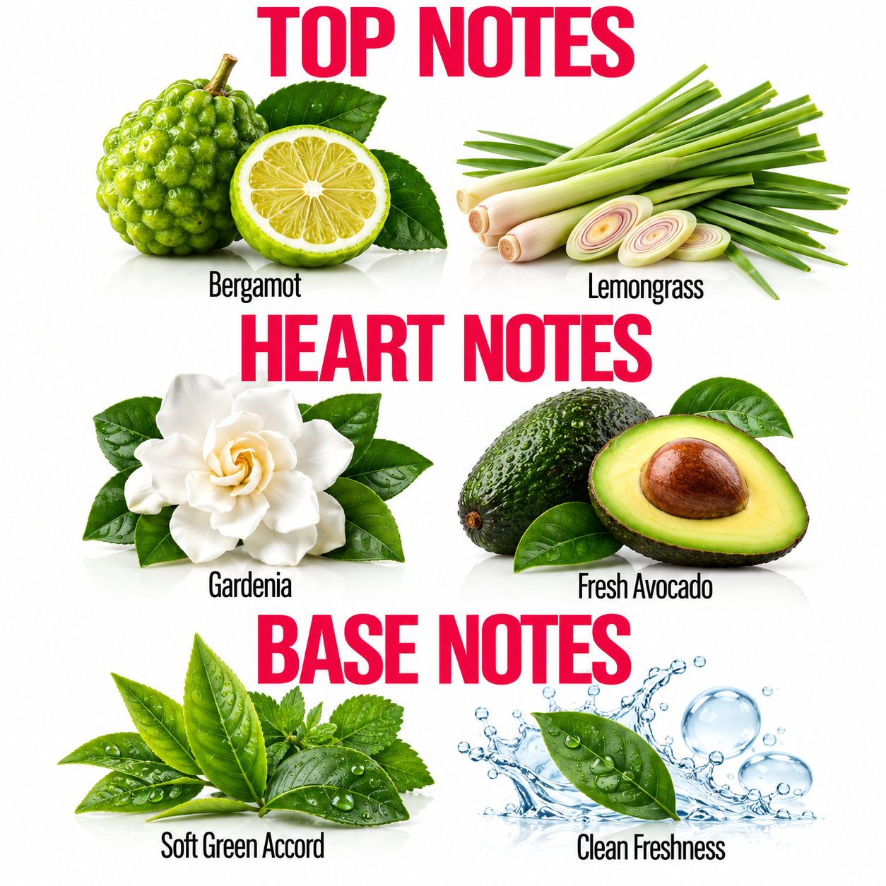 A botanical fragrance notes graphic on a white background, with large red text reading TOP NOTES, HEART NOTES, and BASE NOTES. The top section shows bergamot and lemongrass under TOP NOTES, the middle section shows gardenia and fresh avocado under HEART NOTES, and the bottom section shows soft green accord and a clean freshness splash under BASE NOTES.