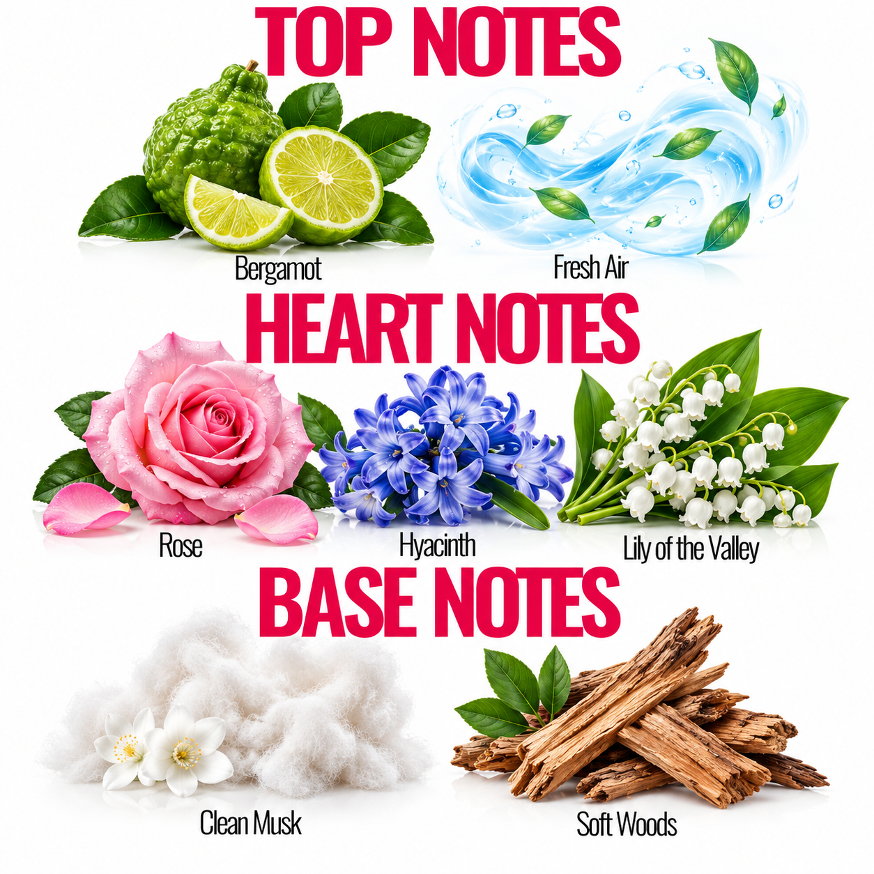 A fragrance notes graphic on a white background with red headers reading TOP NOTES, HEART NOTES, and BASE NOTES. Top notes include bergamot with lime slices and a blue airy motif labeled Fresh Air.