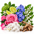 A styled botanical arrangement on a white background featuring pink roses, blue hyacinths, white lily of the valley, a green bumpy fruit, lime slices, white flowers, cotton fibers, and pieces of brown bark.