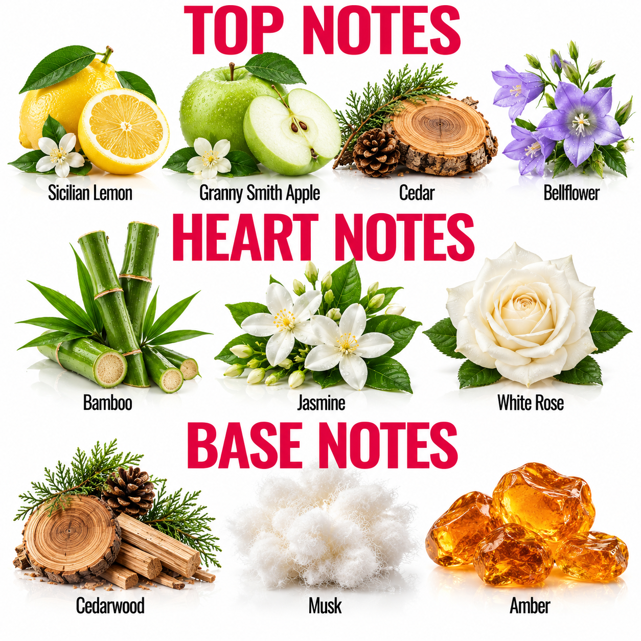 A labeled infographic showing fragrance notes arranged in three sections: TOP NOTES, HEART NOTES, and BASE NOTES. The top notes include Sicilian Lemon, Granny Smith Apple, Cedar, and Bellflower; the heart notes include Bamboo, Jasmine, and White Rose; the base notes include Cedarwood, Musk, and Amber.