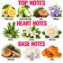 A labeled infographic showing fragrance notes arranged in three sections: TOP NOTES, HEART NOTES, and BASE NOTES. The top notes include Sicilian Lemon, Granny Smith Apple, Cedar, and Bellflower; the heart notes include Bamboo, Jasmine, and White Rose; the base notes include Cedarwood, Musk, and Amber.