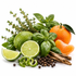 A styled arrangement of fresh citrus and herbs on a white background, including a whole lime, a sliced lime wedge, a peeled orange segment, a whole orange, basil leaves, thyme sprigs, cinnamon sticks, and black peppercorns.