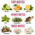 A fragrance notes infographic with red headers reading TOP NOTES, HEART NOTES, and BASE NOTES. The top notes section shows lime zest, mandarin slices, and a bright citrus slice labeled 'Lime Zest', 'Mandarin', and 'Bright Citrus'.
