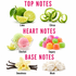 A fragrance notes graphic on a white background with pink headers reading TOP NOTES, HEART NOTES, and BASE NOTES. Top notes are shown with lime and citrus slices; heart notes with sherbet scoops, sugary candies, vanilla beans, and a vanilla flower, and musk powder.